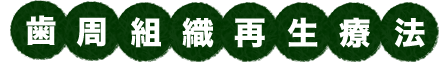 歯周組織再生療法